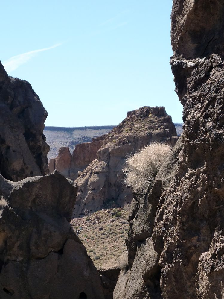 Mojave reserve (26).JPG
